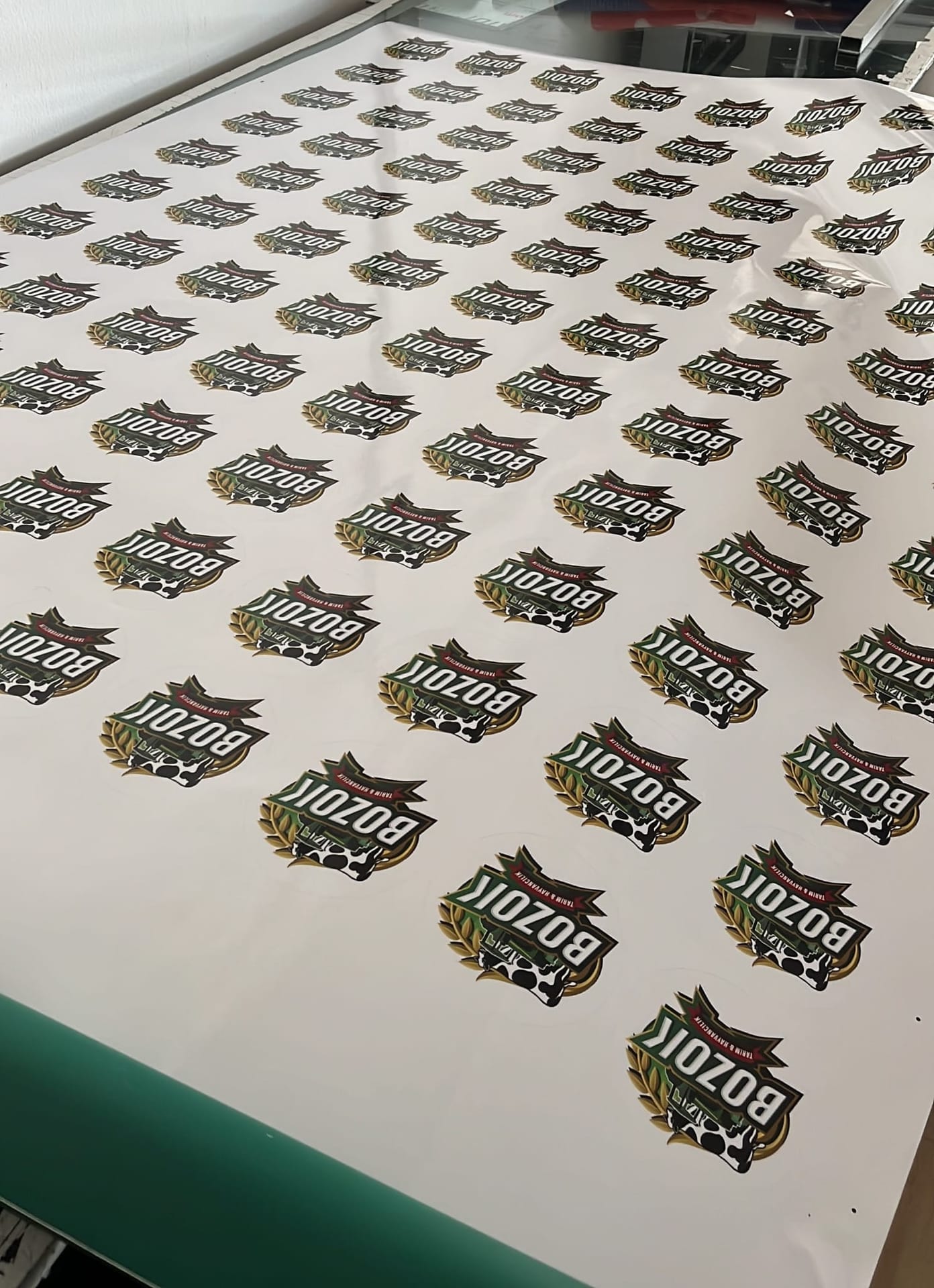 Ankara Sticker Baskı - Ankara Reklamcı Görsel 18